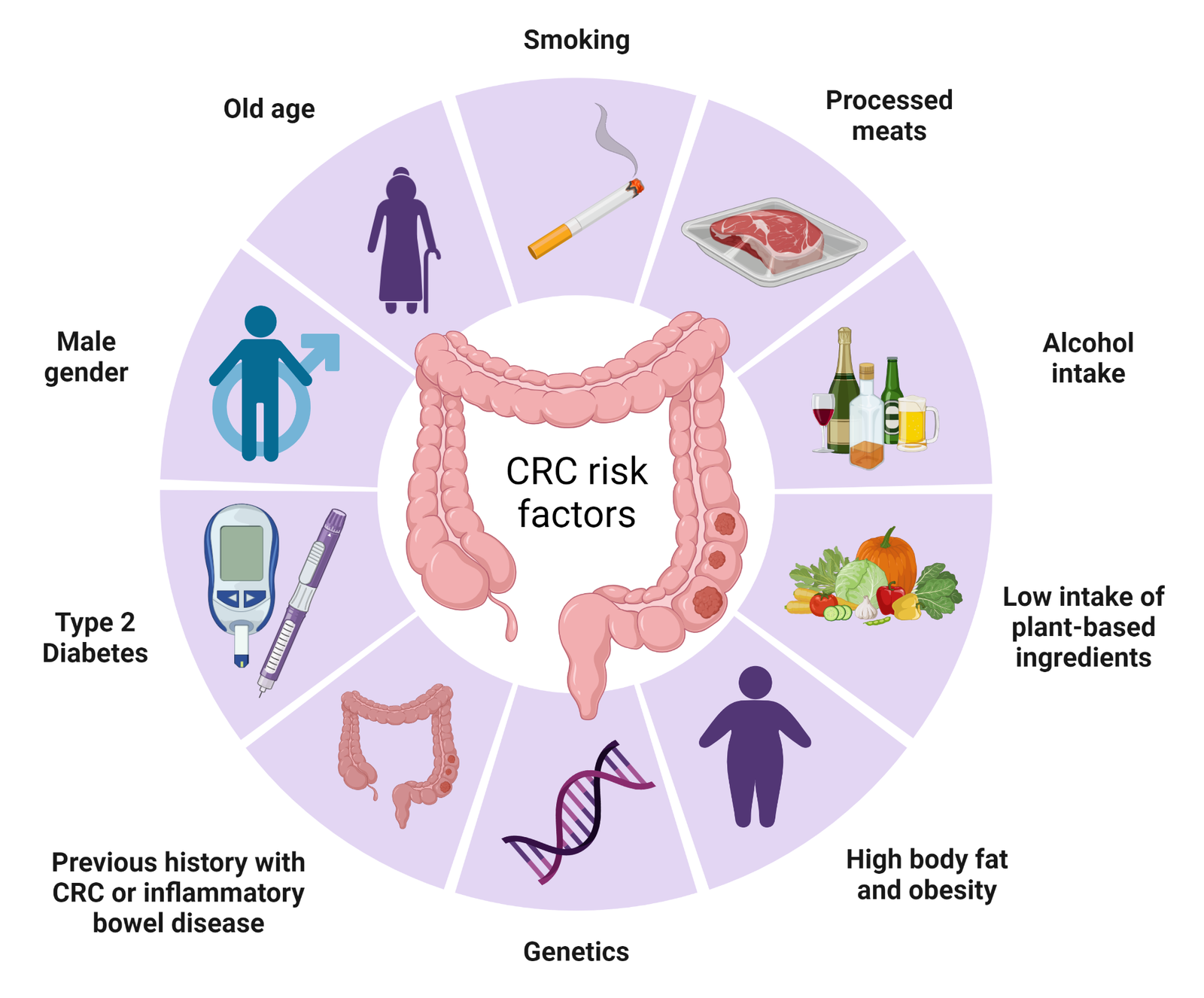 Bladder Cancer: Risk Factors, Symptoms, and Treatment Options