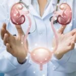 How Lifestyle Affects Urological Health