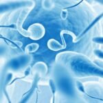 How to Improve Sperm Quality and Quantity