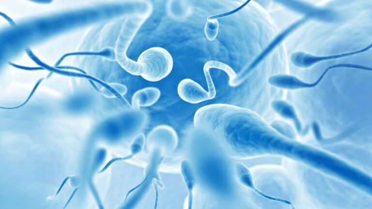 How to Improve Sperm Quality and Quantity