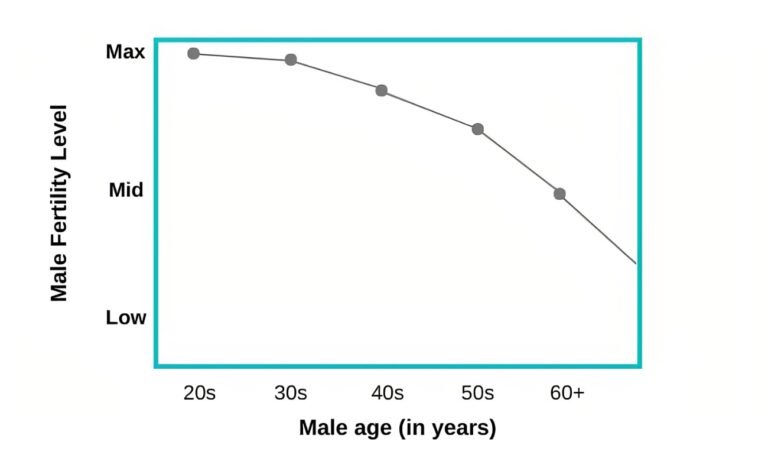 Male Infertility and Age: How It Changes Over Time