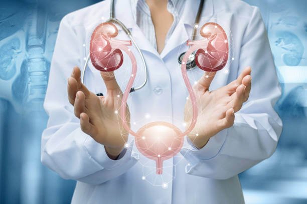 Urology for Women: What You Should Know