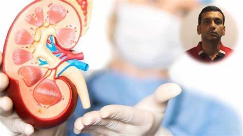 The Role of Urology in Preventing and Treating Kidney Disease