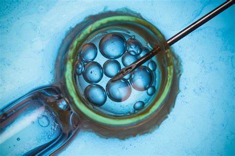 Male Infertility Treatment: New Innovations and Technologies