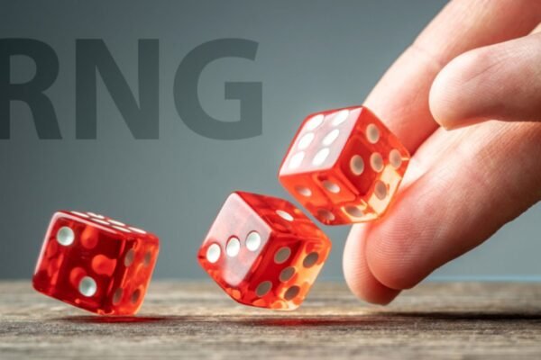 Fair Play and RNG Systems at The Pokies