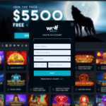 Beyond the Surface: Analyzing the Email Support Depth at Wolf Winner Casino